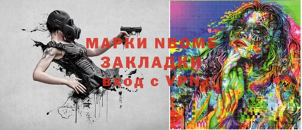 хмурый Алексин