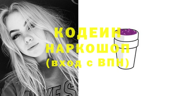 хмурый Алексин