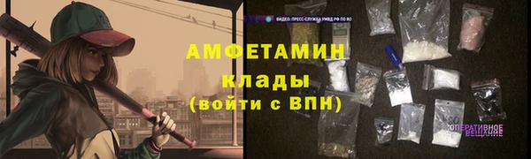 хмурый Алексин